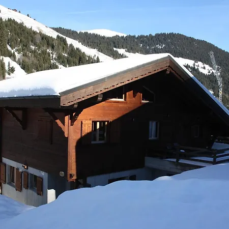 Chalet Remadi *